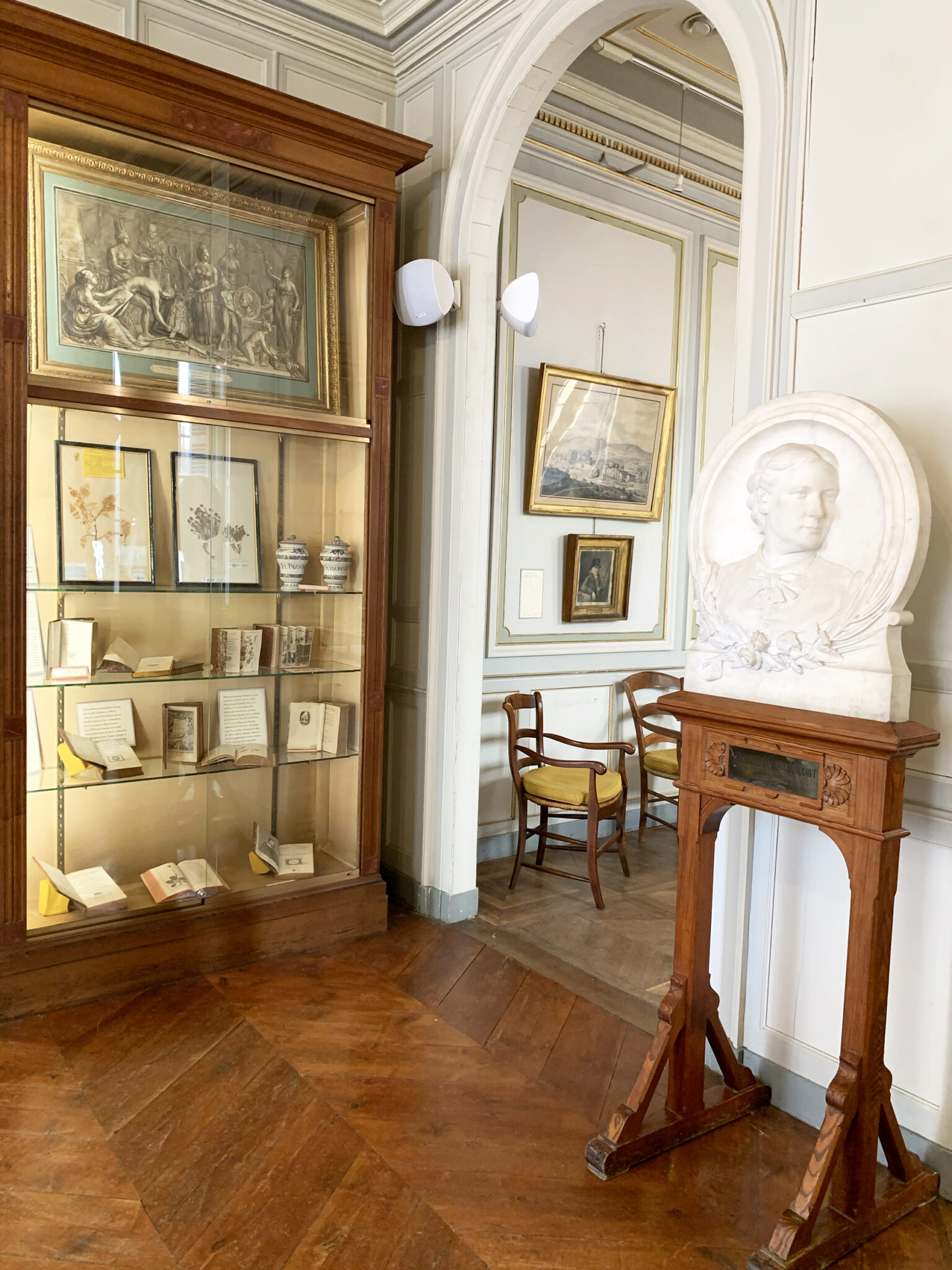 Buste de Louise Rostan, naturaliste du 19e s., autoportrait de Constantin, herbiers d'Achintre, tableau de Clérian, livres de Tournefort